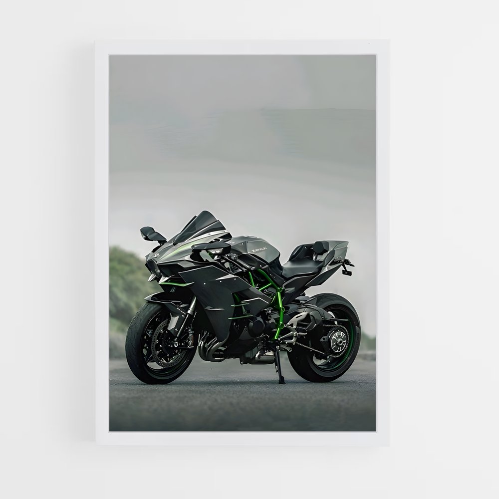 Poster Héros Ninja énigmatique (vue 3)